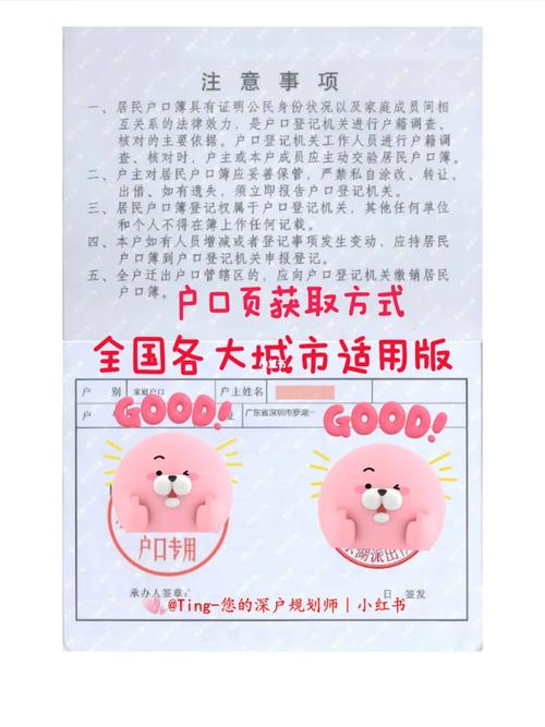 2024年怎样获得深圳户口