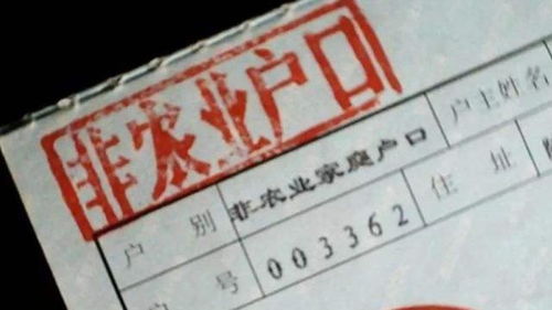 入深圳户口：是真香还是巨坑？深度解析背后的大利与大弊