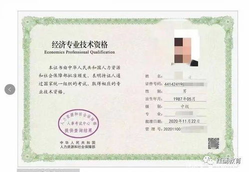 2026年深圳中级职称入户,最全保姆级攻略,看完你就懂了!