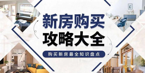 深户买房宝典：解锁深圳核心城区置业密码，这些优惠政策你必须知道！
