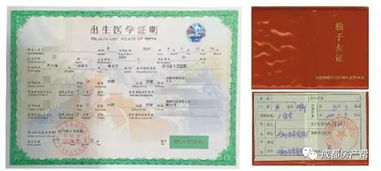 父母随子女落户深圳？别再盲目申请！2026最新条件全解析，建议收藏！