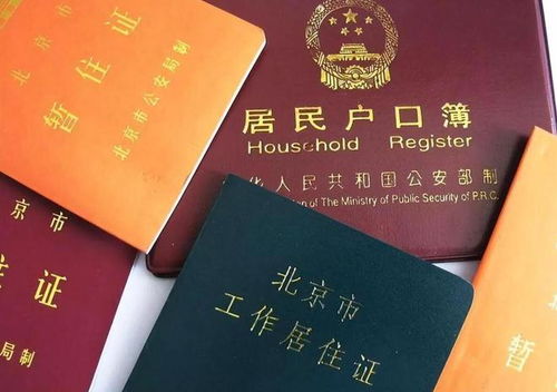 深圳落户，到底有多难？亲身经历+万字长文，教你走通每一步