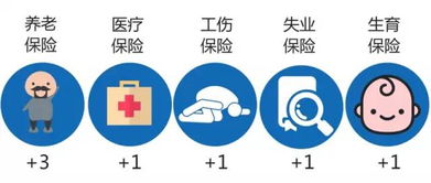 深圳入户，只认准这一个官方渠道！别再百度上被中介“割韭菜”了（内附超全保姆级攻略）