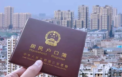 怎么落户深圳?万字长文,手把手教你搞定深圳户口,别再花冤枉钱了!