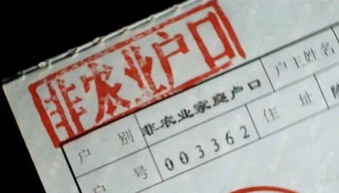 深圳户口“含金量”越来越高？2026年积分入户，你现在就该这样规划！