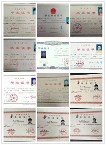 2026深圳入户最全指南!学历、技能、积分...总有一条路通向你的“深户梦”