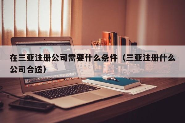 在三亚注册公司需要什么条件（三亚注册什么公司合适）