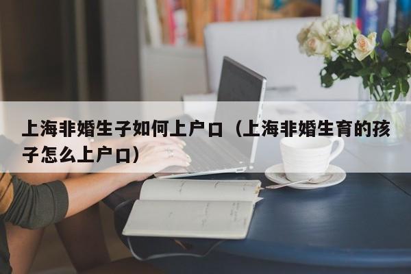 上海非婚生子如何上户口（上海非婚生育的孩子怎么上户口）