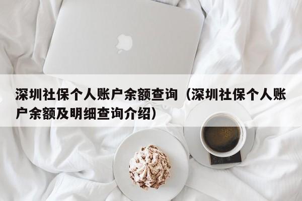 深圳社保个人账户余额查询（深圳社保个人账户余额及明细查询介绍）