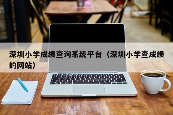 深圳小学成绩查询系统平台（深圳小学查成绩的网站）