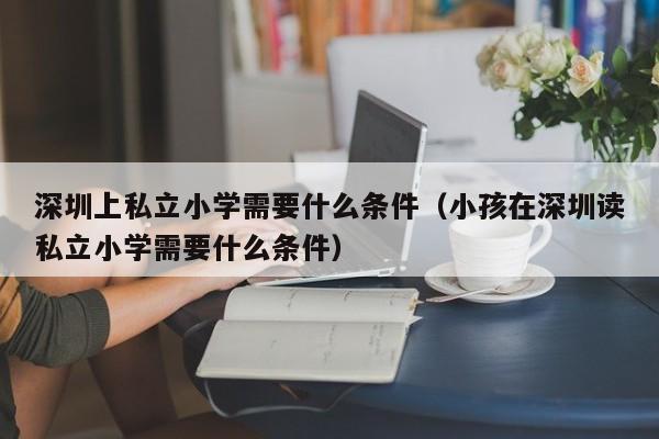 深圳上私立小学需要什么条件（小孩在深圳读私立小学需要什么条件）