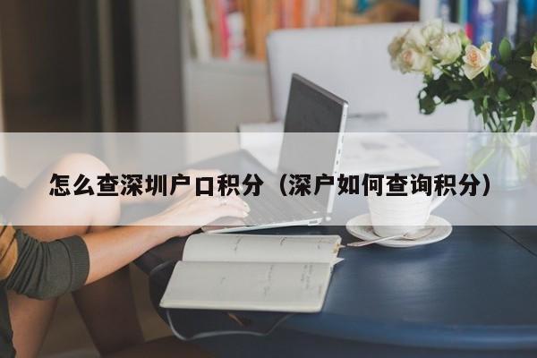 怎么查深圳户口积分（深户如何查询积分）